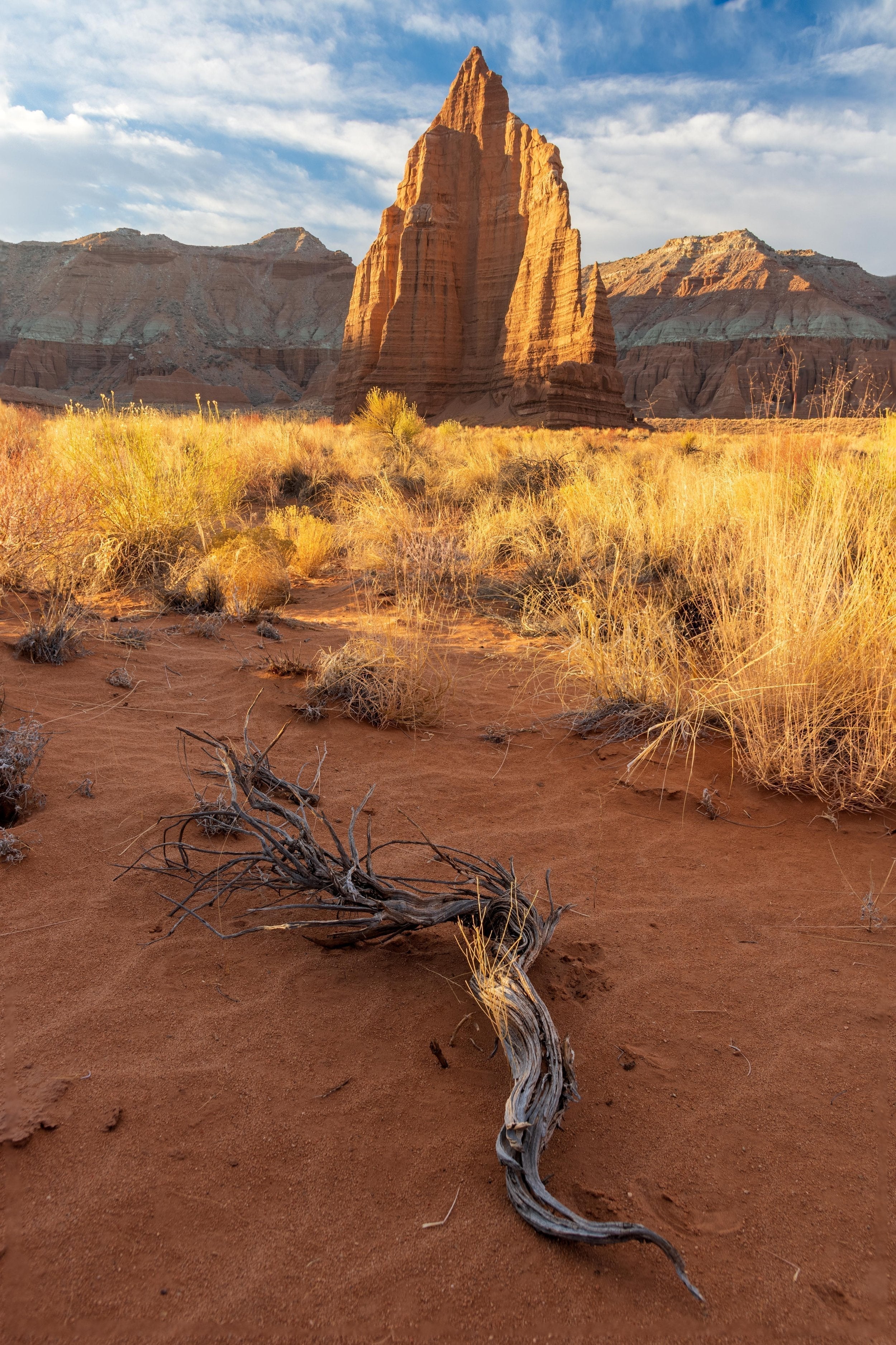 Sandstone monolith rising above desert grasses in Capitol Reef National Park, Utah
