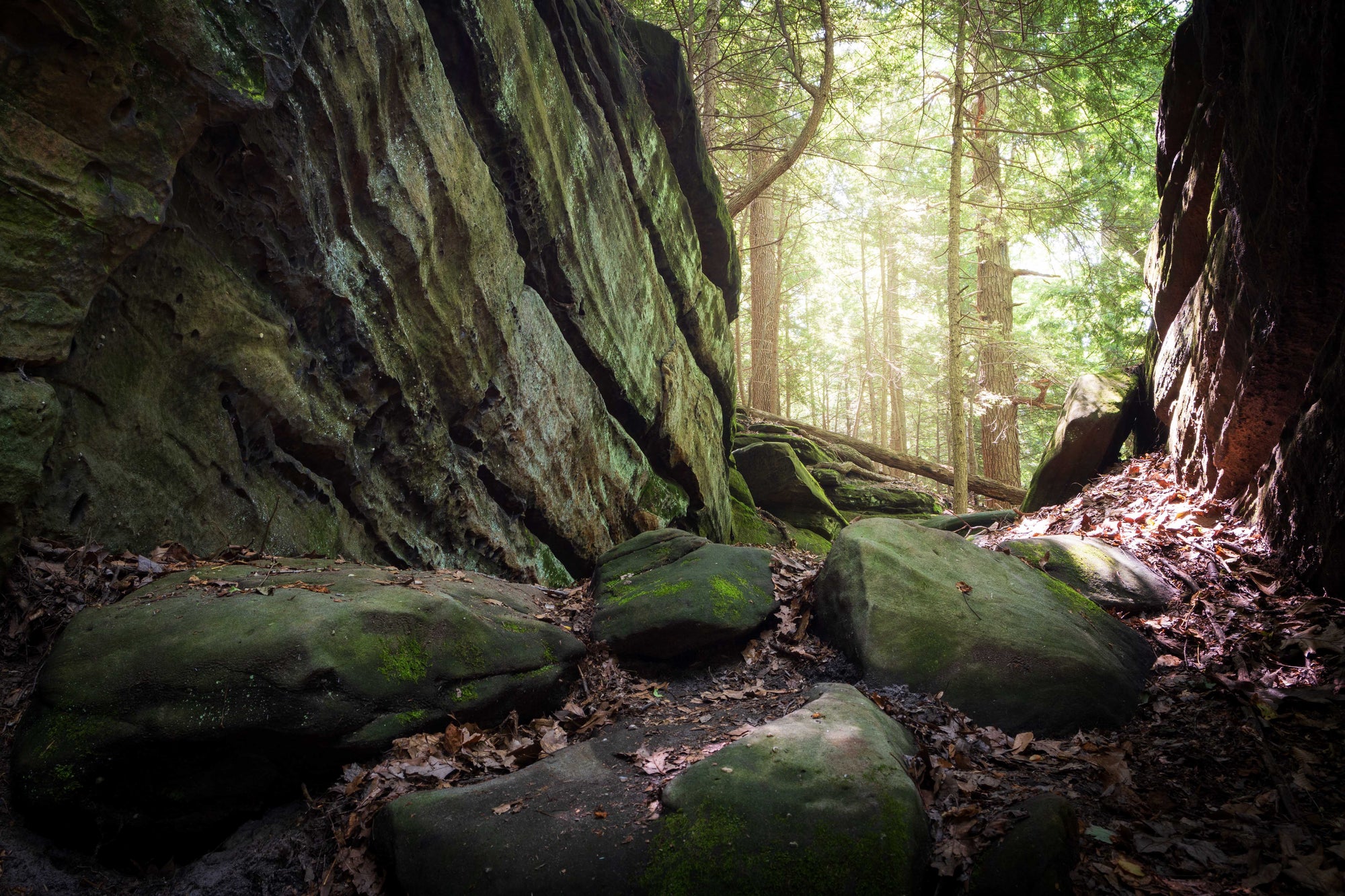 Moss-covered sandstone boulders and forest light in Cuyahoga Valley National Park, Ohio