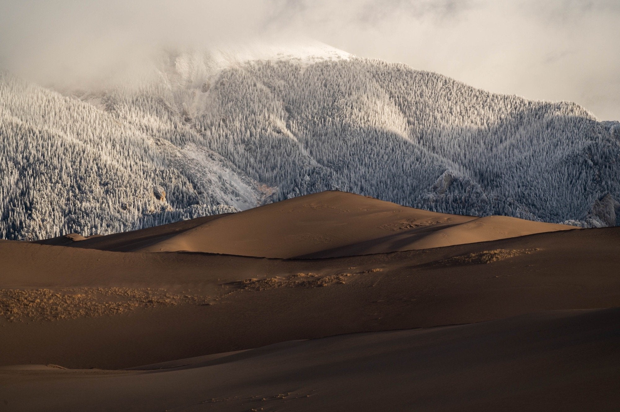 Snow-covered Sangre de Cristo Mountains rising above wind-sculpted dunes in Great Sand Dunes National Park, Colorado