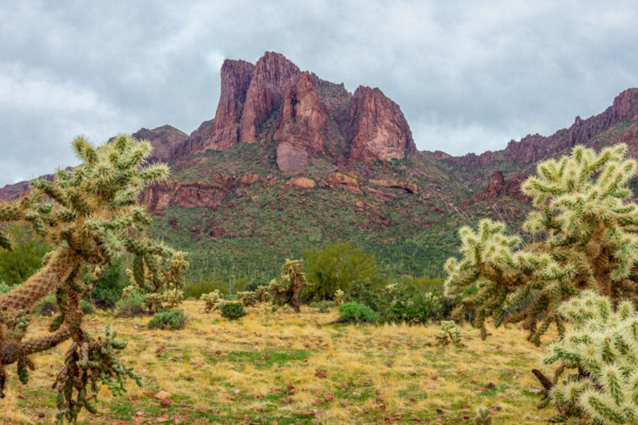 Rugged peaks of the Superstition Mountains under a cloudy sky with teddy bear cholla cactus in the Arizona desert foreground.