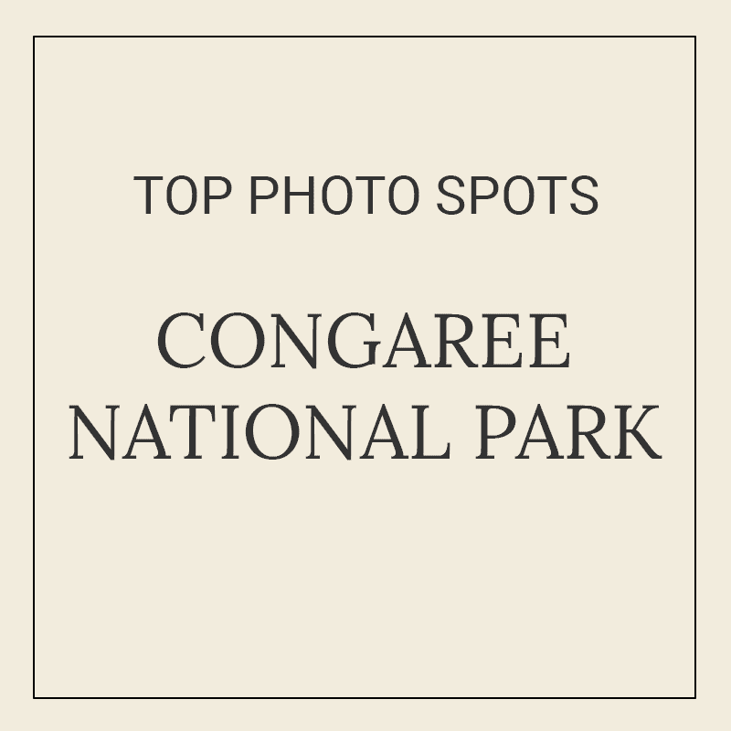 Text graphic for “10 Best Photography Spots in Congaree National Park”