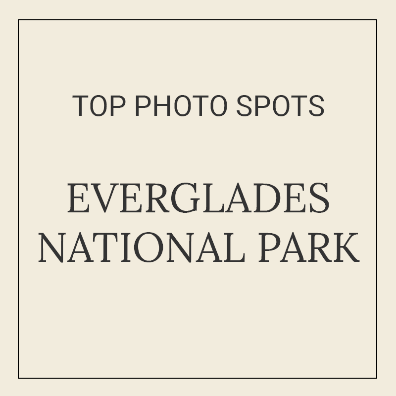 Text graphic for “10 Best Photography Spots in Everglades National Park”
