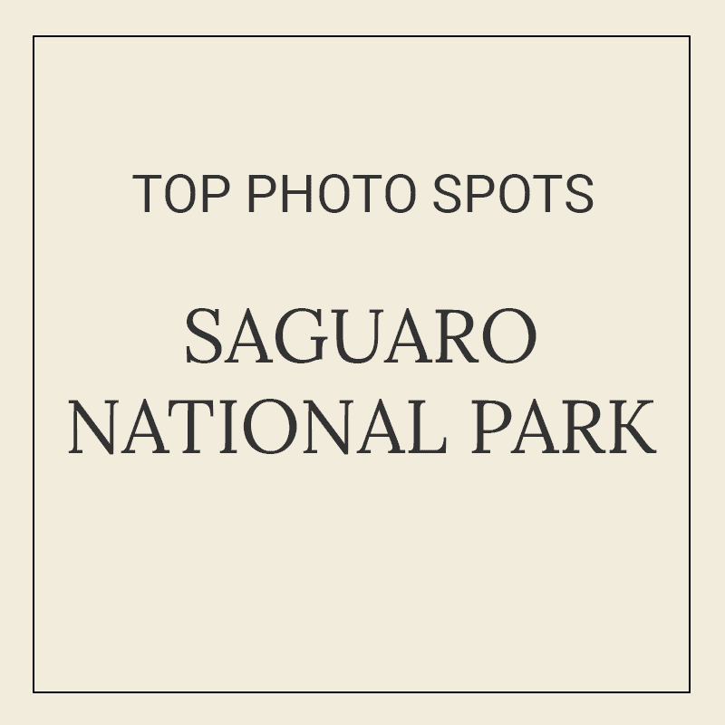 Text graphic for “10 Best Photography Spots in Saguaro National Park”