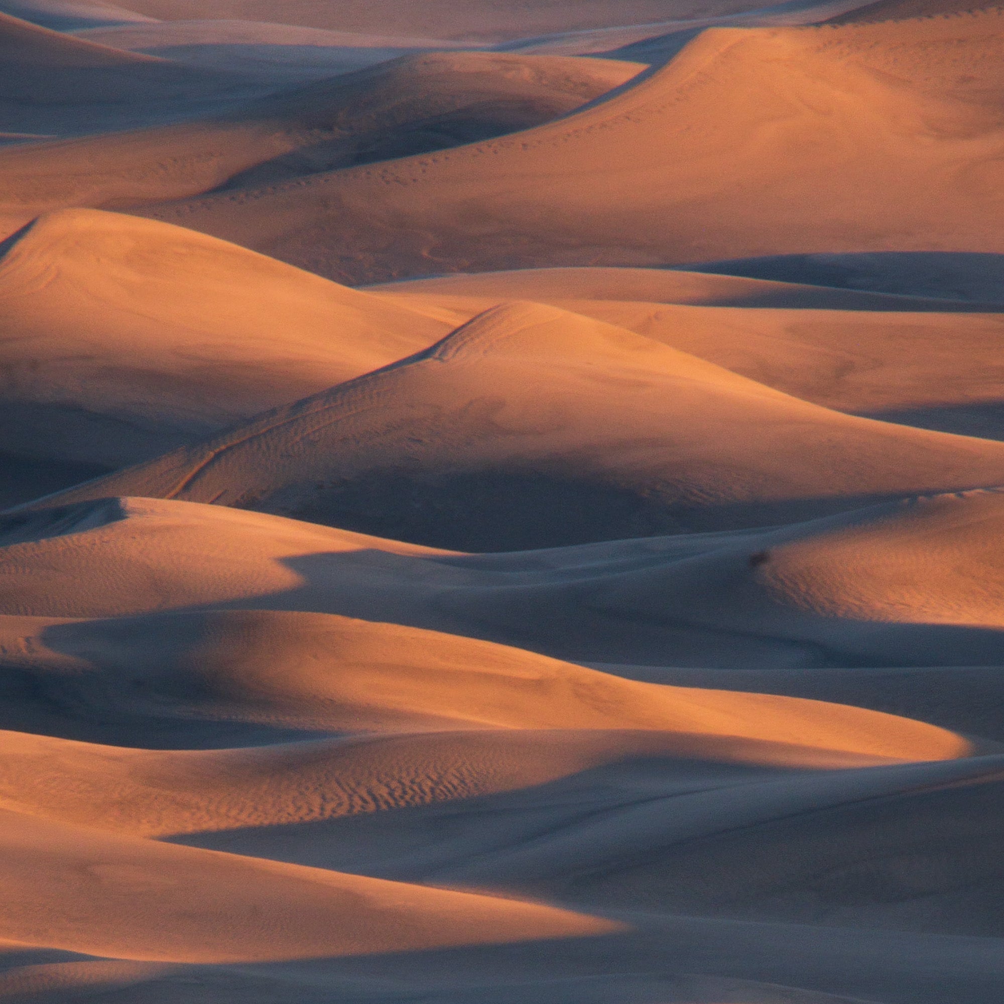 Abstract desert sand dune patterns in golden light with layered ridges and soft shadow gradients