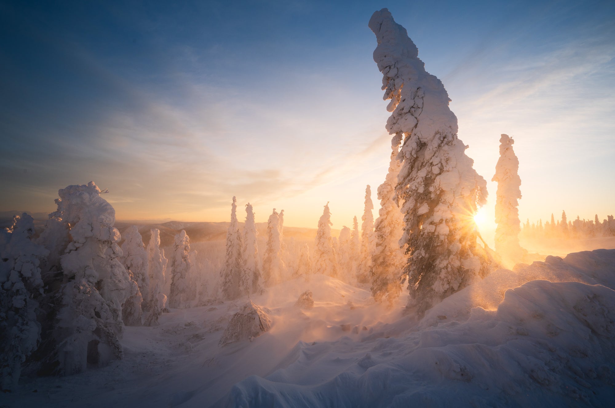 Snow-buried spruce trees sculpted by arctic wind at sunset in northern Alaska, with blowing ice crystals and warm light.
