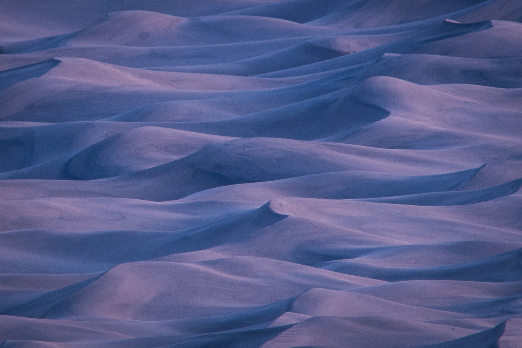 Distant view of Mesquite Flat sand dunes before sunrise, showing soft pastel blue and lavender tones forming wave-like patterns.