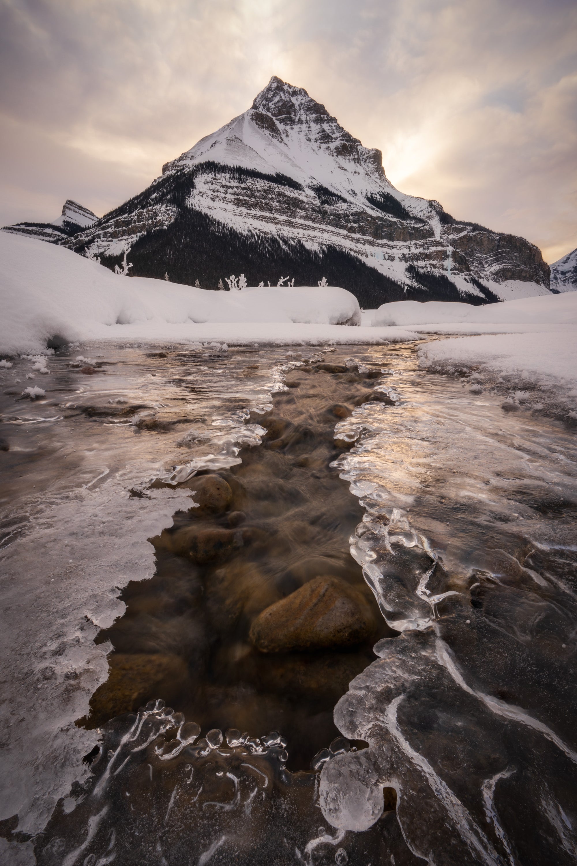 Winter photograph along the Icefields Parkway in the Canadian Rockies, showing a pyramidal mountain reflected through a partially frozen stream surrounded by snow and ice.