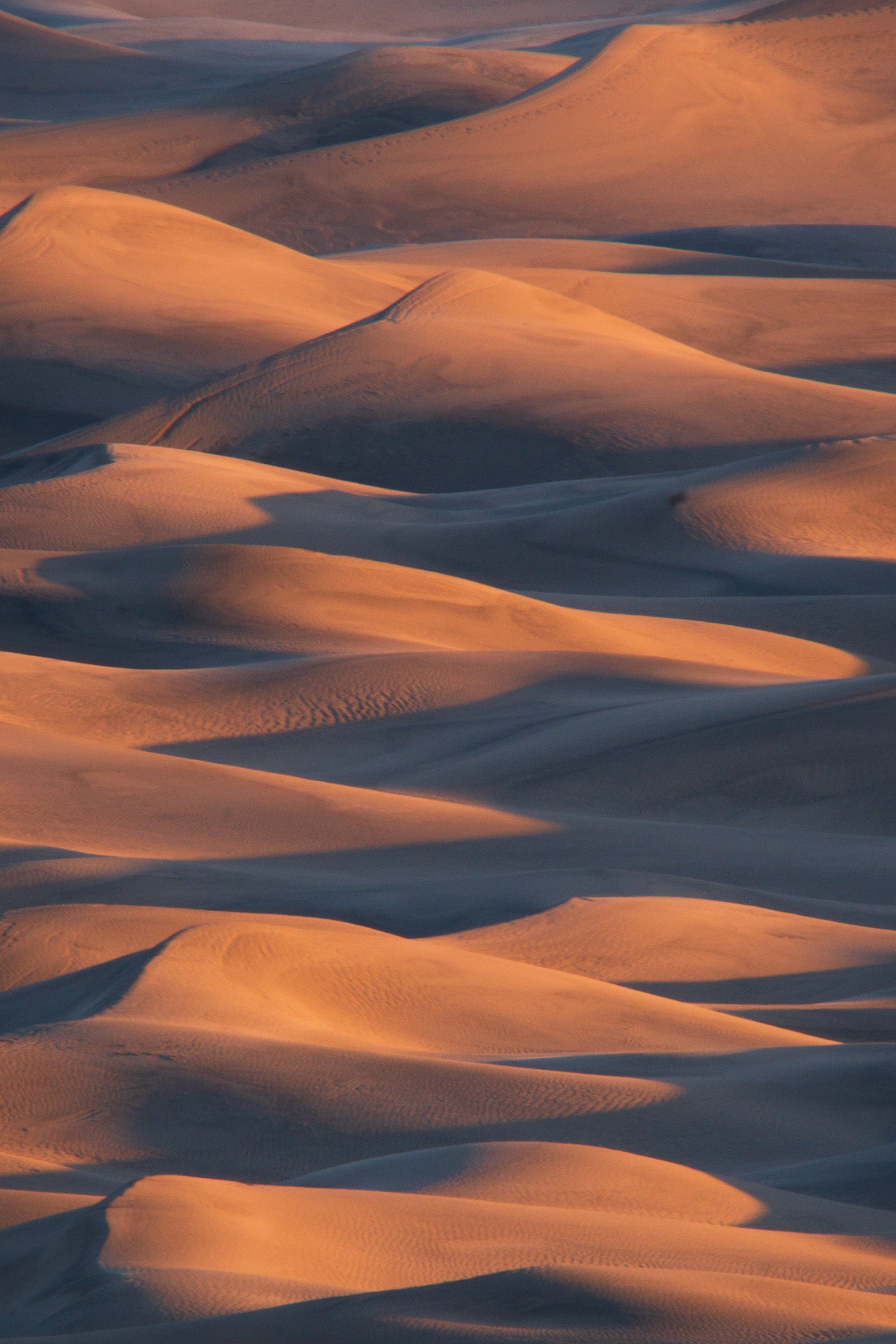 Abstract telephoto view of Mesquite Flat sand dunes at sunrise, showing warm golden light and shadow forming wave-like patterns across the sand.