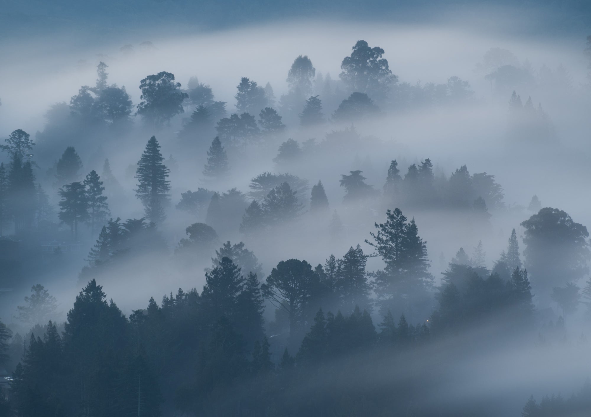 Layered fog moving through forested hills in Mill Valley, California, before sunrise, creating a soft, moody landscape.