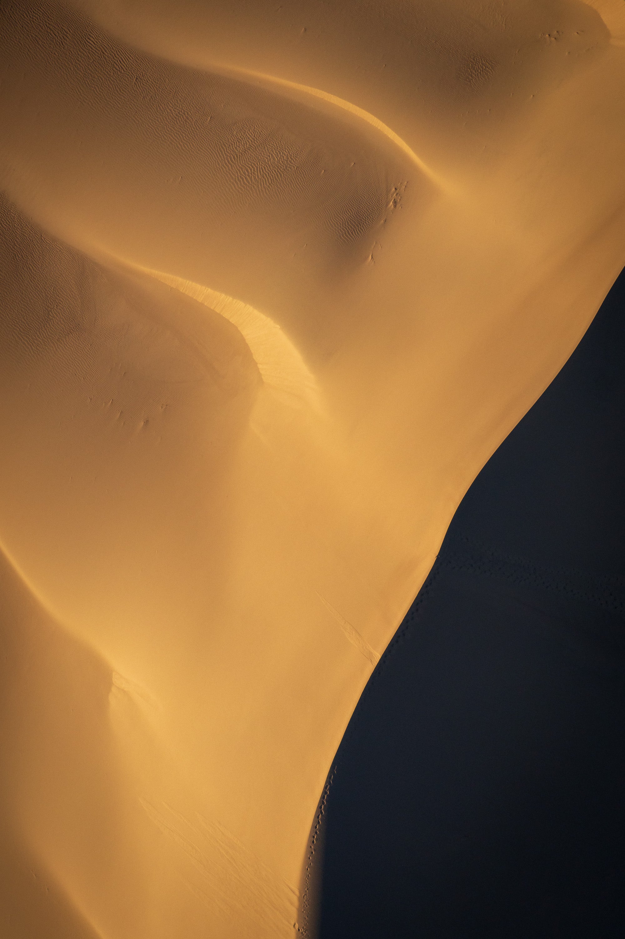 Abstract aerial view of a Mojave Desert sand dune at sunrise, with golden light forming sweeping curved patterns against deep shadow.